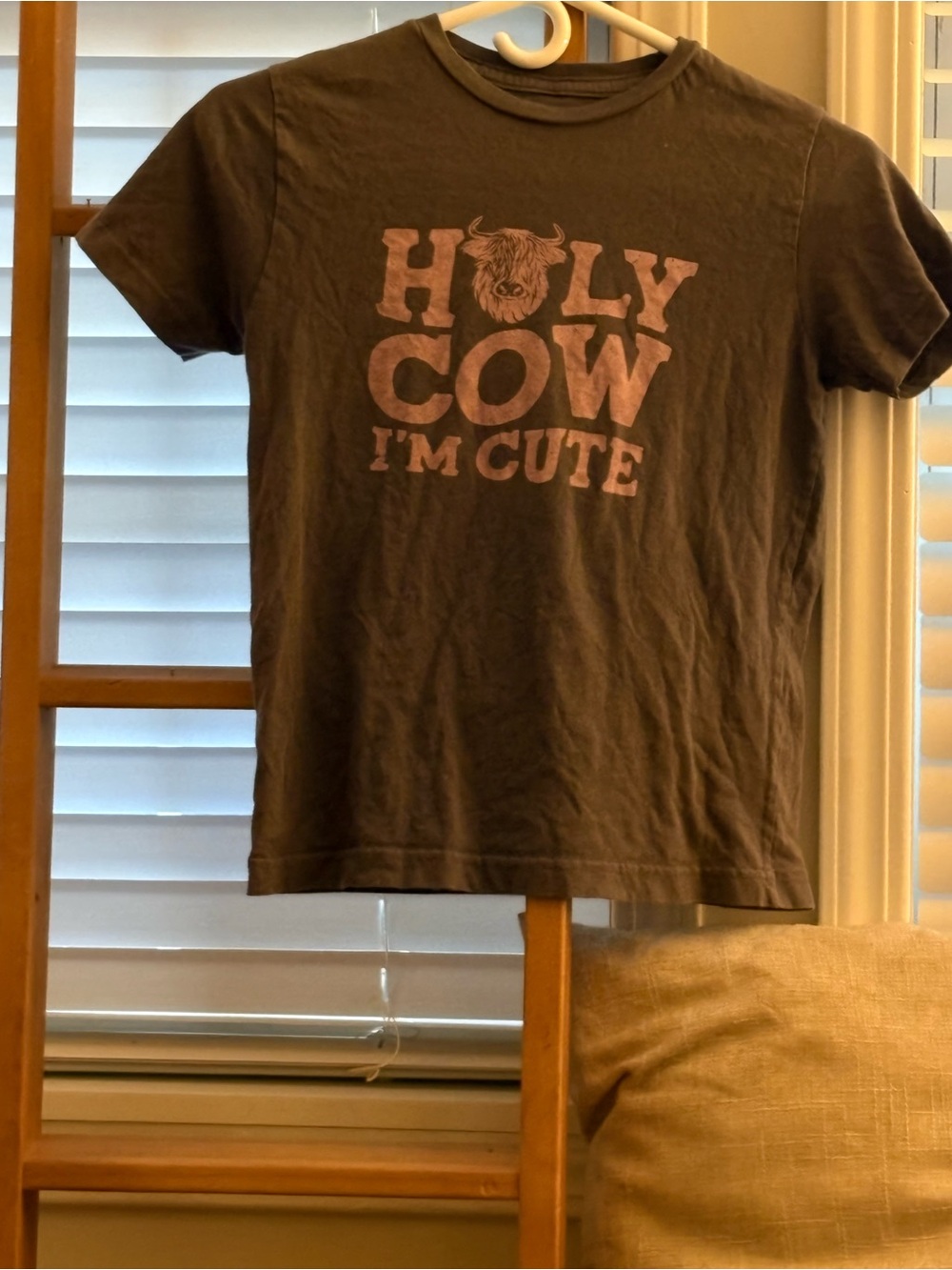 Kids Brown 'Holy Cow I'm Cute' Graphic Tee